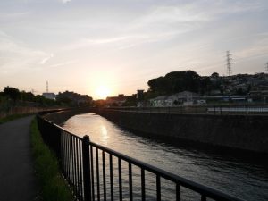 もっさりふさふさ苔ライフ 2