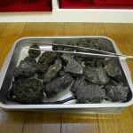 20cm水槽、クリーンアベプロジェクト 2