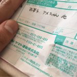 お菓子でーす!はい!水草でしたー!