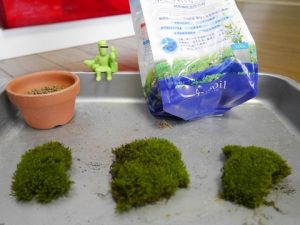 もっさりふさふさ苔ライフ 4 -ミニ苔盆レイアウト選手権編-