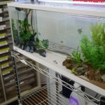 ネイチャーな天使