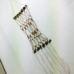 キセログラフィカの着生とか色々。