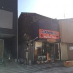 超ビカクシダな休日。エアロファイトしてきたぜ!