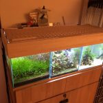 蓋付きアクアキャノピーをDIY。