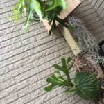 サヨナラは新たな出会いの予感。