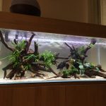 ブラックホールを投入しました。