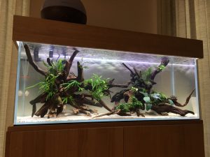 ブラックホールを投入しました。