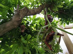 湿度70%という予報。