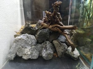 赤玉土で底面ろ過！詫び草を使って30cmキューブ水槽立ち上げ！≪一気に注水まで。≫