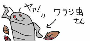 ビカクシダの葉を食べるワラジムシについて考える。≪益虫？×害虫？×あなたはどっち？笑≫
