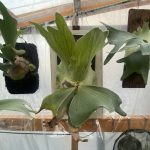 通風パネル専用額縁をDIYしてみた！