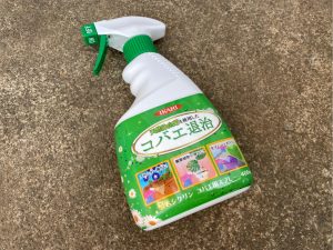 コバエ退治にはこれが最強だった。【ムシクリン コバエ用スプレー】