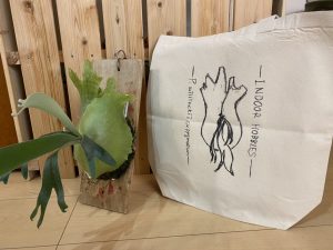 ビカクシダのトートバッグが出来ました。