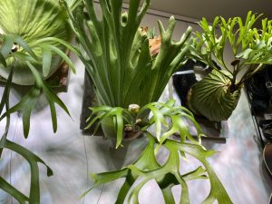 【ちょいプレ結果発表】おめでとうございます！