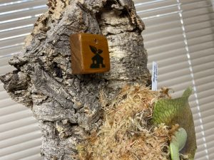 木製エンブレムを作る。