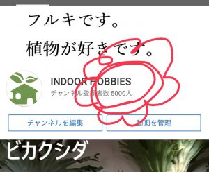 【YouTube】チャンネル登録5,000人!超アリガトウゴザイマス!!!!