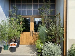 相模原の植物屋「TIANA STORE」に行ってきた！