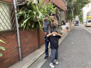 ビカクシダin下北沢！オーバーソウル「本気ネザラン会」！！