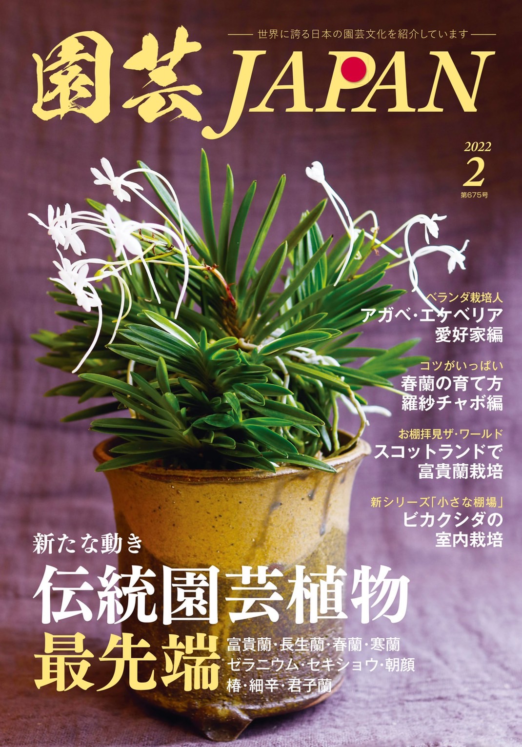 【本日発売】園芸雑誌にINDOOR HOBBIESが載ります。