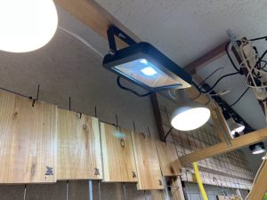 LED投光器でビカクシダを育ててみるぞ！