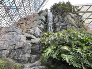 八景島シーパラダイスで植物を見る。