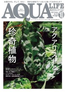 【超嬉しい】あの業界大手の雑誌に掲載されます!!【ビカクシダ×INDOOR HOBBIES】