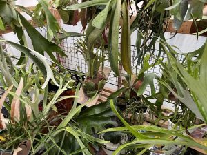 ２０２２年は台風が...