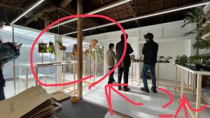 ビカクシダスタンド「ただの棒が刺さった台」がココで見れます。