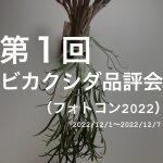 第1回「ビカクシダ品評会」(フォトコン2022)開幕!!!
