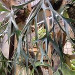 これはもうお手本でしかない...