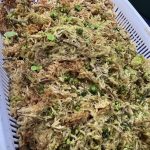 自然発芽胞子を楽しむ...