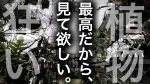 あの植物店がまたヤバいことに...