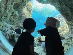 家族５人で江の島水族館へ...