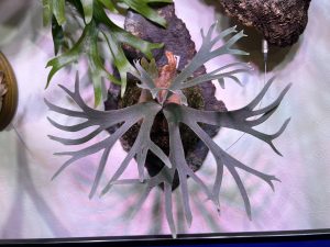 届け...！JGsのその後...