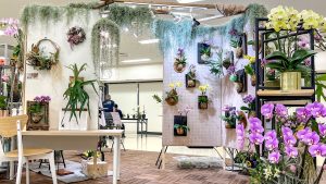 【開催中】秋のらん展＆ボタニカルフェア2023...！