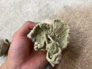 P.Baby Bellをお迎えしました。