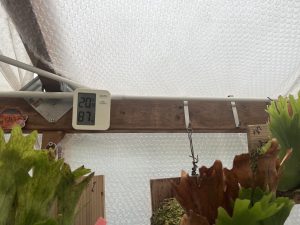 10℃を切ったら取り込むぞ...