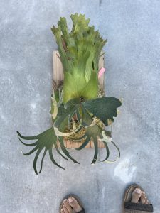 #ねスポ（ちび）のその後。