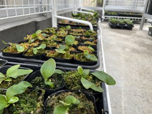 ナンバリングが苦手です。