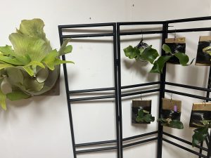 YouTubeは2024へ。