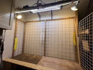 植物部屋のお片付け...