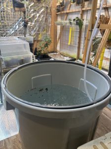 水やり水を常備する。