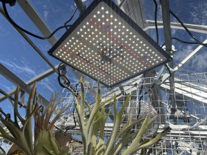 【怪獣フレア】温室のLEDを防水化した。