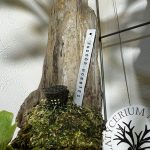 アルミ製タグがカッコ良すぎるんですけど...