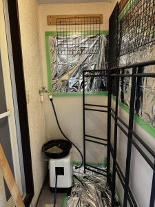 きっとまた増えるから。