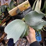 同じ箱に中にいただけ...