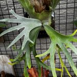 #ねスポの#6でした。