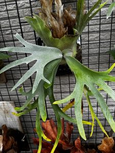 #ねスポの#6でした。