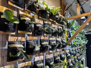 壁を埋め尽くす黒い板。