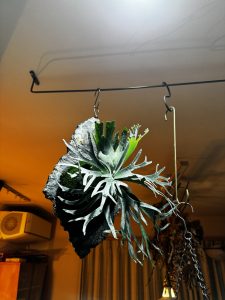 ただ水を切るだけ...